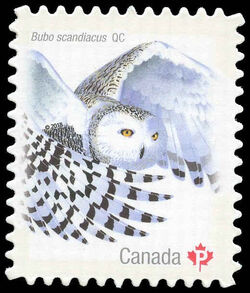 Snowy Owl - Quarterly Pack Die Cut Canada Postage Stamp | Birds of Canada