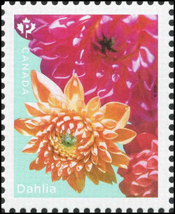 Three Dahlias - WA Canada Postage Stamp | Dahlias