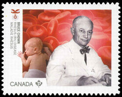 Dr. Bruce Chown - Rhesus (Rh) Disease - Quarterly Pack Die Cut Canada Postage Stamp | Medical Groundbreakers
