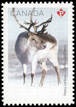 Peary Caribou - WA Canada Postage Stamp | Snow Mammals