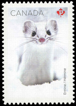 Ermine - WA Canada Postage Stamp | Snow Mammals