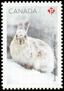 Snowshoe Hare - WA Canada Postage Stamp | Snow Mammals