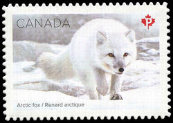 Arctic Fox - WA Canada Postage Stamp | Snow Mammals