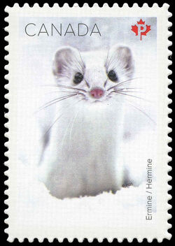 Ermine - Quarterly Pack Die Cut Canada Postage Stamp | Snow Mammals