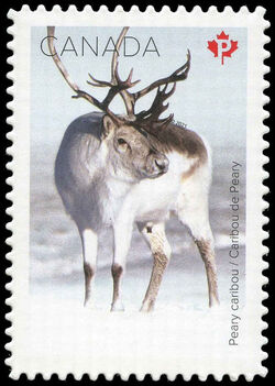 Peary Caribou - Quarterly Pack Die Cut Canada Postage Stamp | Snow Mammals