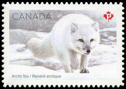 Arctic Fox - Quarterly Pack Die Cut Canada Postage Stamp | Snow Mammals