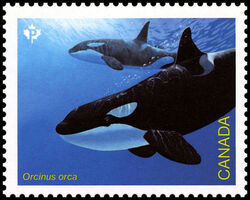Killer Whale - Orcinus Orca - WA Canada Postage Stamp | Endangered Whales