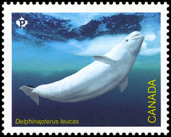 Beluga Whale - Delphinapterus Leucas - WA Canada Postage Stamp | Endangered Whales