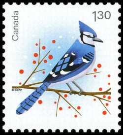 Blue Jay - WA Canada Postage Stamp | Holiday Birds