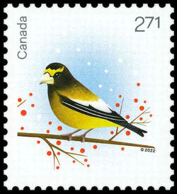 Grosbeak - WA Canada Postage Stamp | Holiday Birds