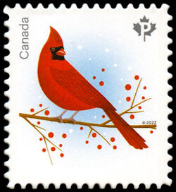 Red Cardinal - Quarterly Pack Die Cut Canada Postage Stamp | Holiday Birds