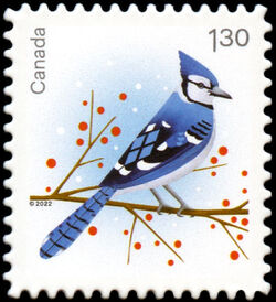 Blue Jay - Quarterly Pack Die Cut Canada Postage Stamp | Holiday Birds