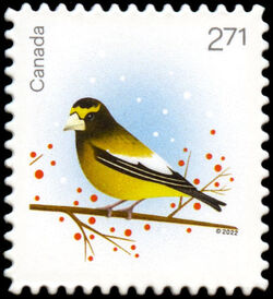 Grosbeak - Quarterly Pack Die Cut Canada Postage Stamp | Holiday Birds