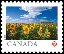 Sunflowers, Altona - MB - WA Canada Postage Stamp
