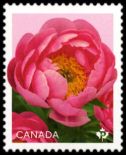 Cytherea - WA Canada Postage Stamp | Peonies - Flowers