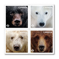 Bear Stamp Z734 - Fun Leather Craft Tool For DIY Projects & Parent-Child Activities